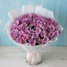 Букет цветов из:  Хризантемы в Стародубском